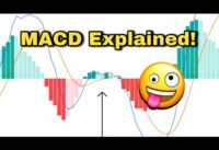 How To Use The MACD! EXPLAINED For Traders📊 #shorts