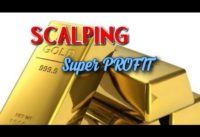 LIVE TRADING SCALPING GOLD !!!
