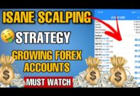 Scalping strategy for beginner forex traders(forex trading)