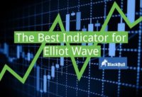 This Is How I Set Up My Elliott Wave Indicators | BlackBull Markets