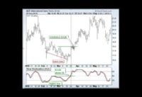 Video Example of Stochastic Divergence Video.mov